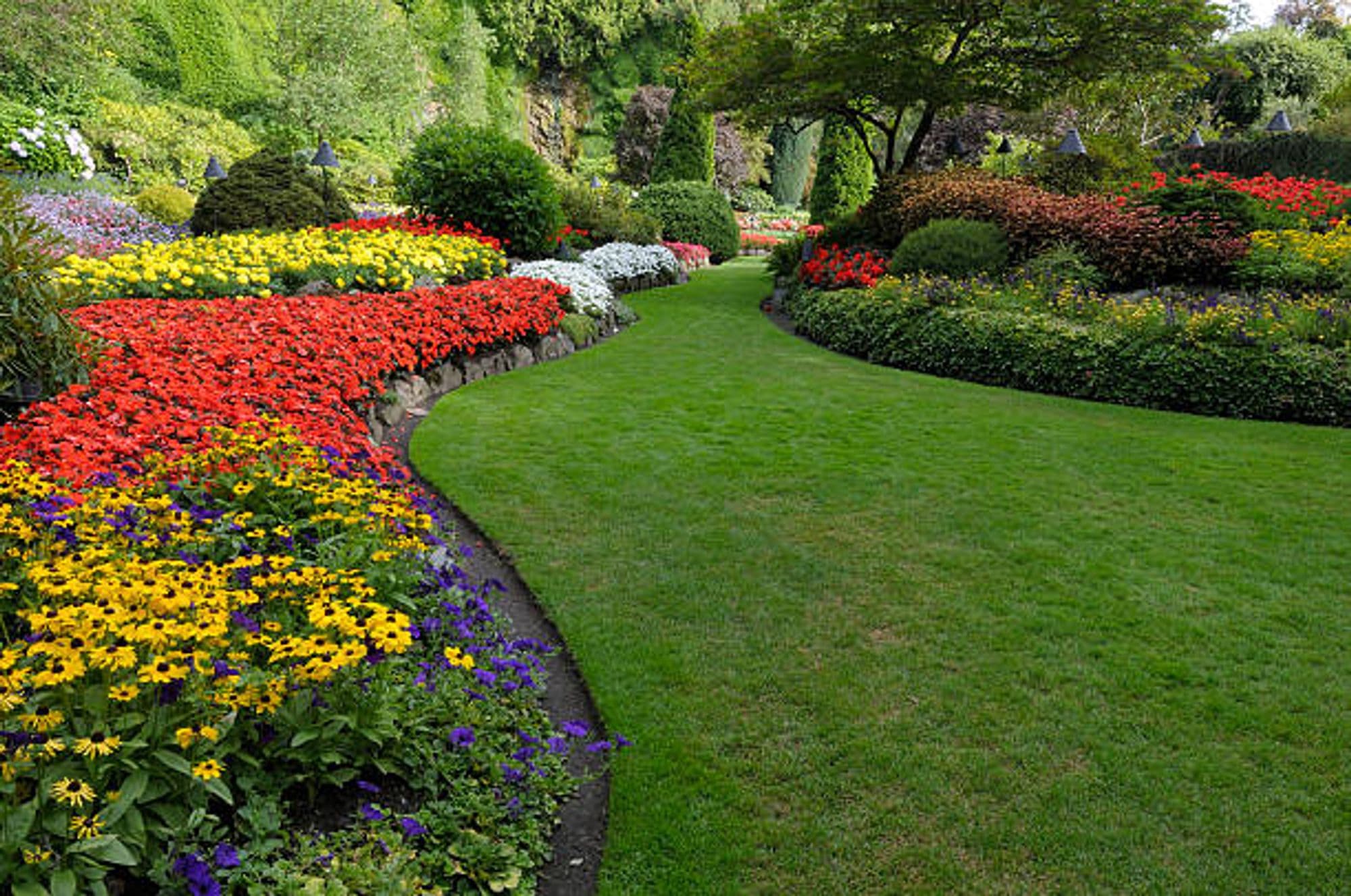 Landscaping project 13