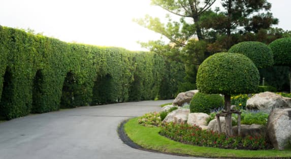 Landscaping project 16