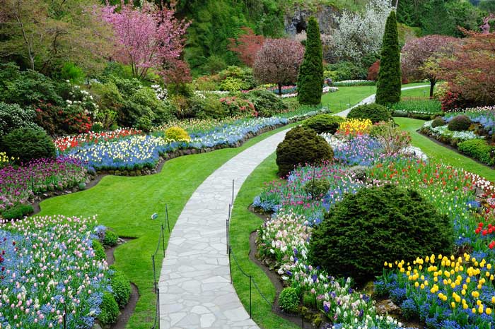 Landscaping project 18