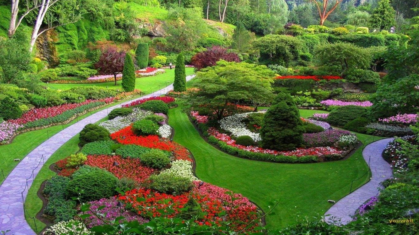 Landscaping project 20