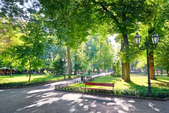 Mini & Large Parks project 19