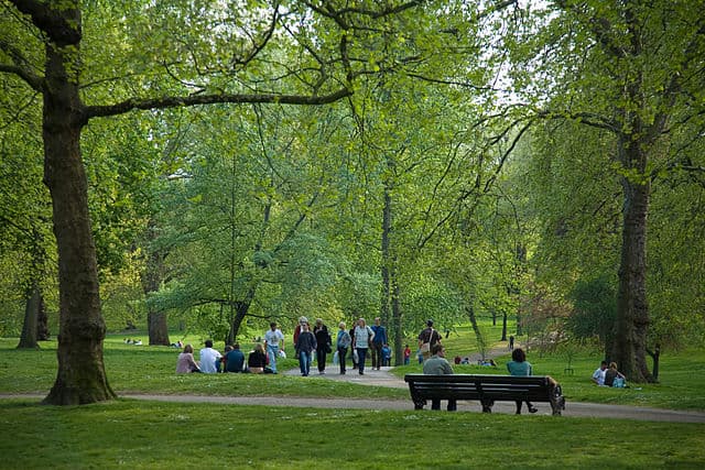 Mini & Large Parks project 3