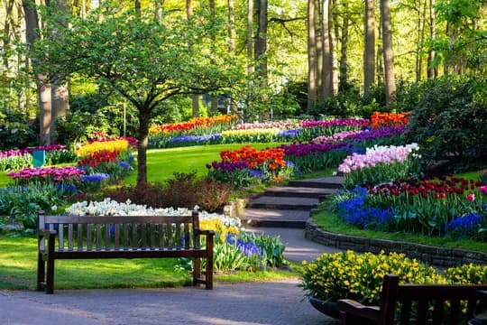 Mini & Large Parks project 23