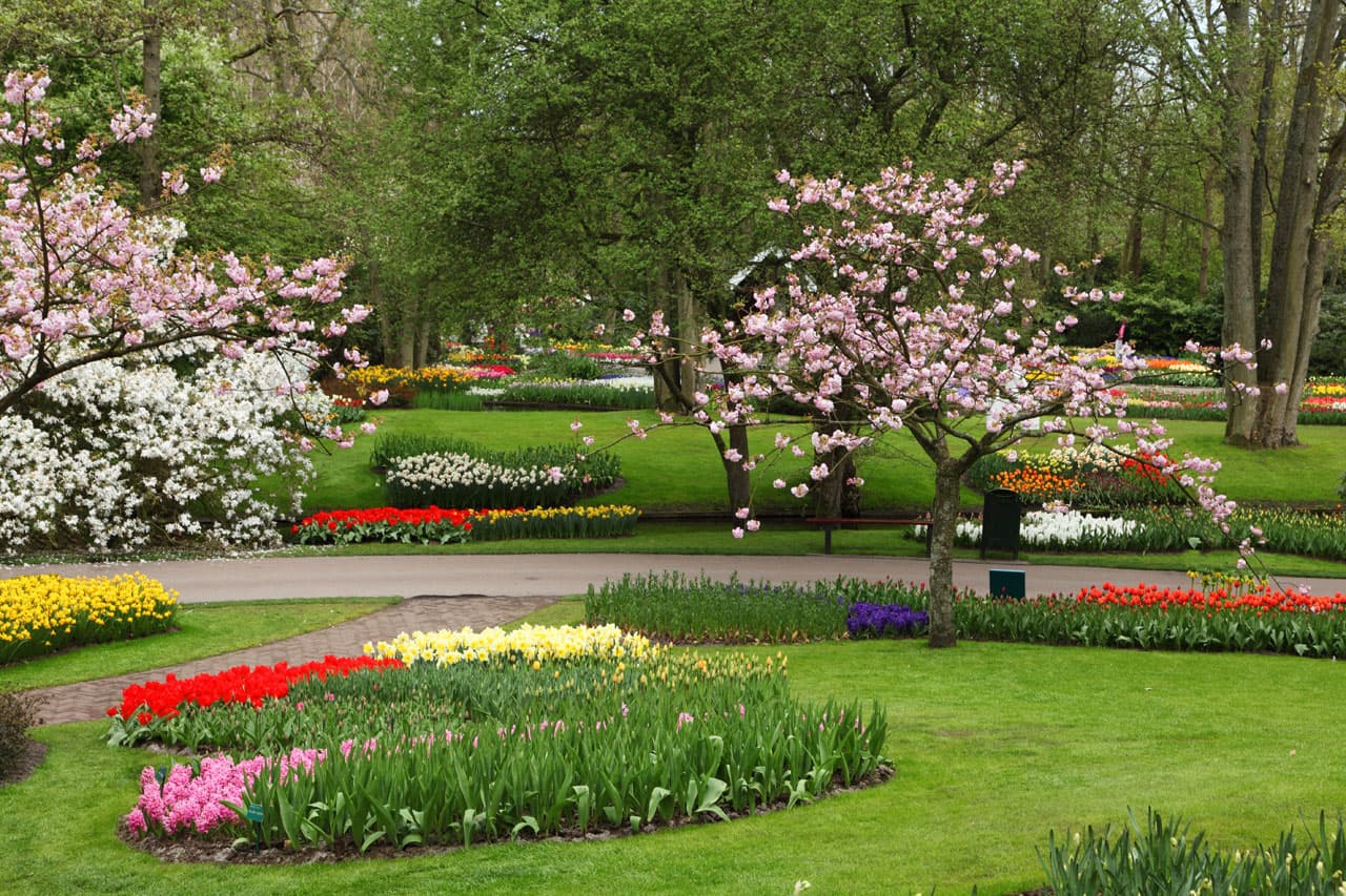 Mini & Large Parks featured project