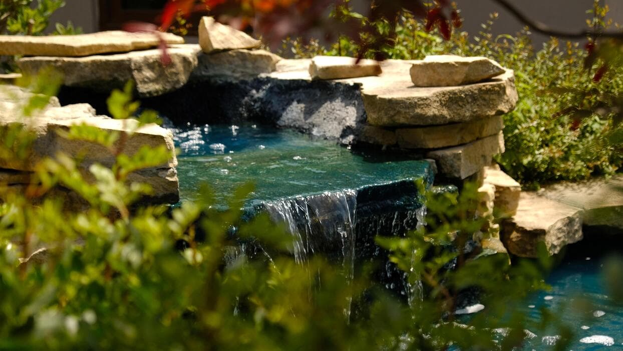 Natural & Artificial Ponds by Agro Greenvibe