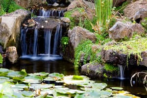Natural & Artificial Ponds project 12