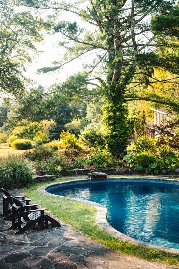 Natural & Artificial Ponds project 5