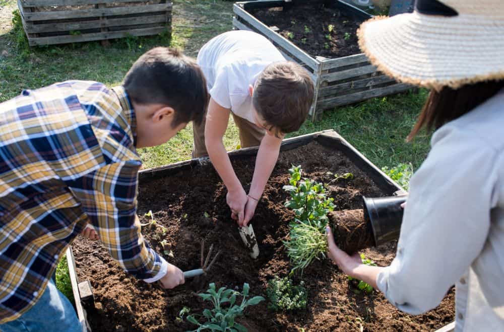 Other Gardening Services project 10