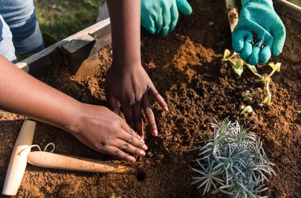 Other Gardening Services project 12