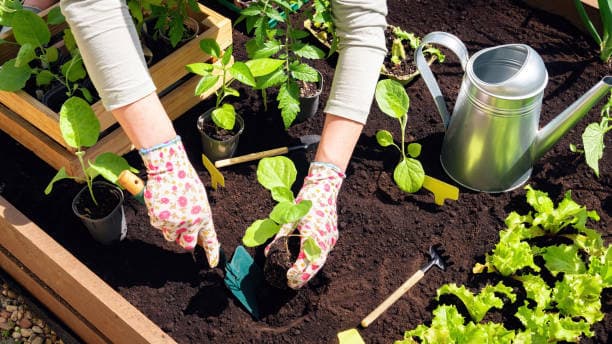 Other Gardening Services project 7