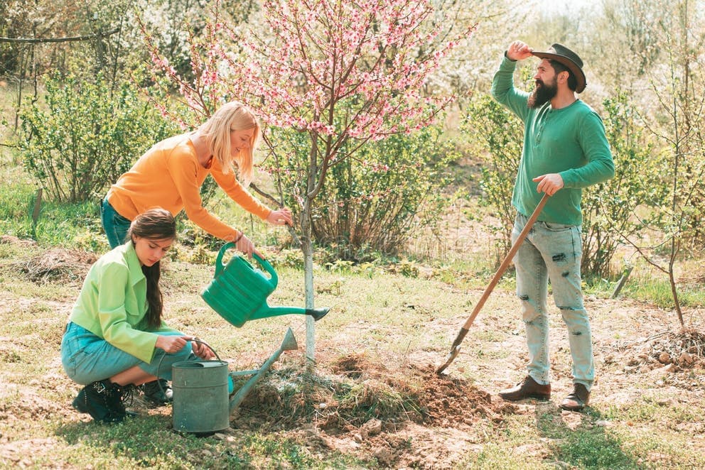 Other Gardening Services project 9