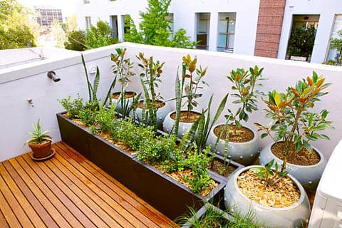 Terrace Gardening project 15