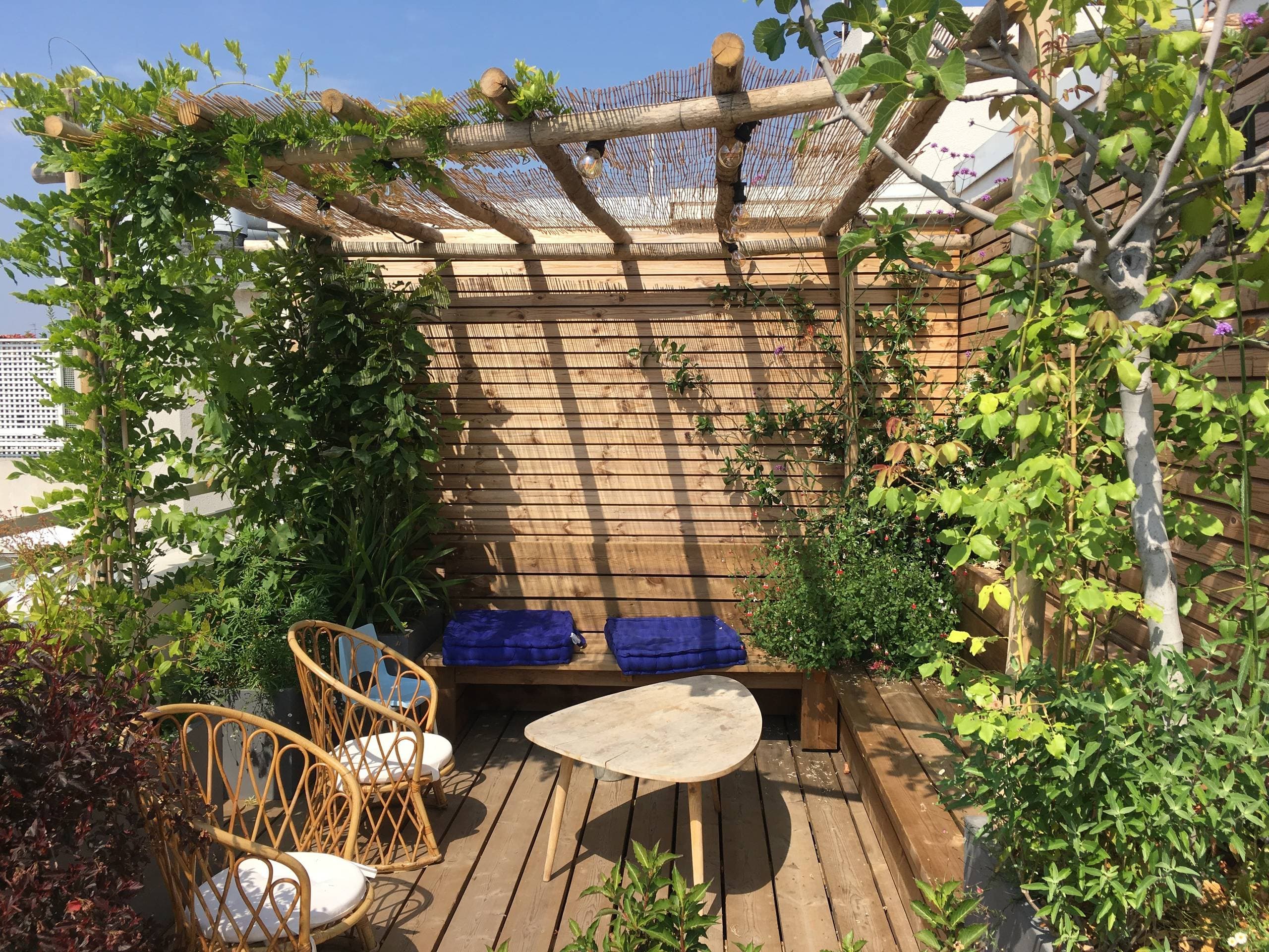 Terrace Gardening project 16