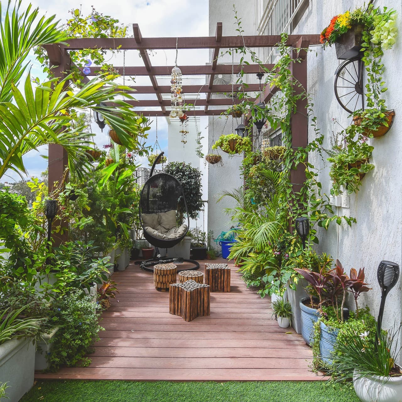 Terrace Gardening project 2