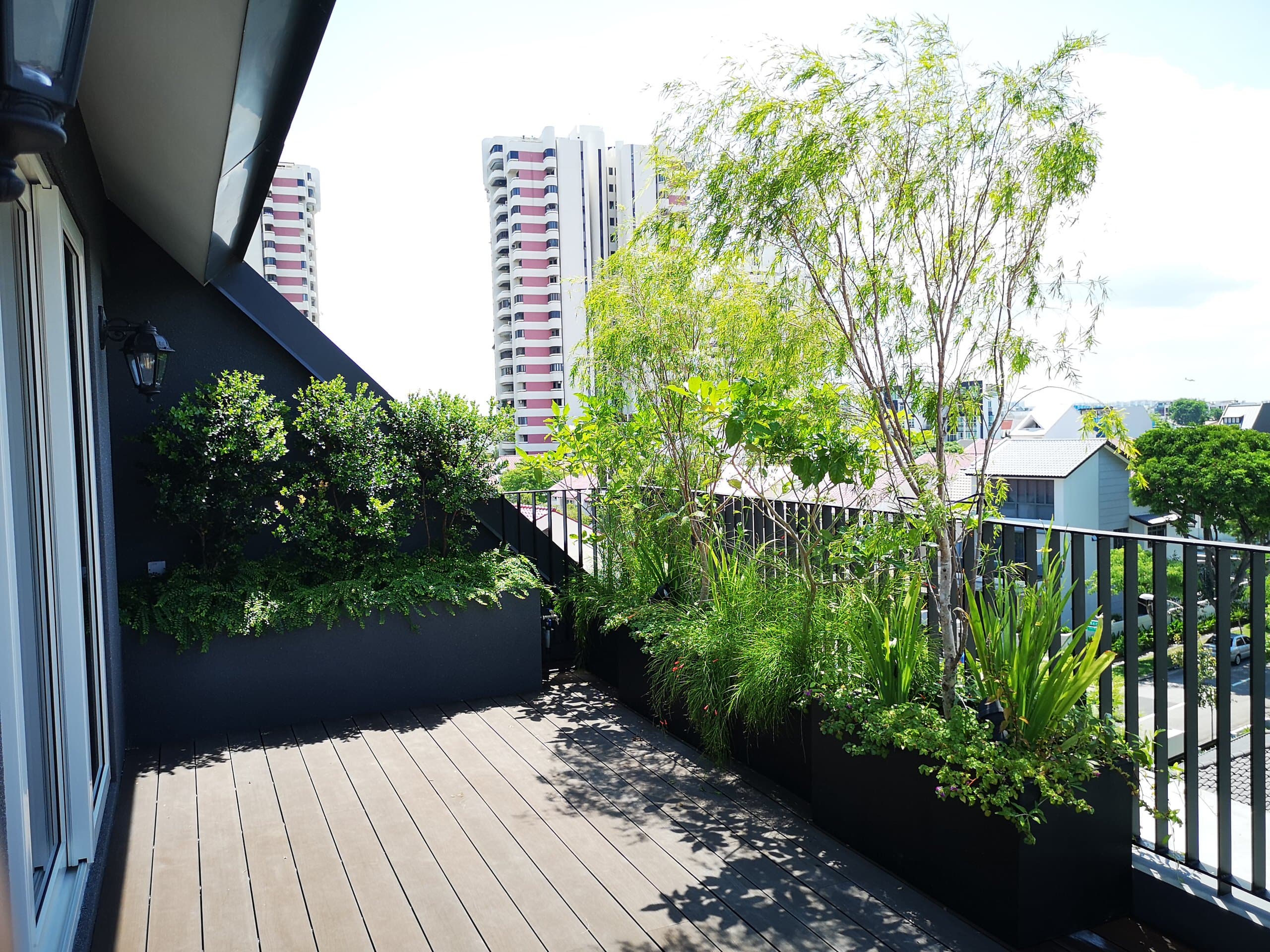 Terrace Gardening project 20