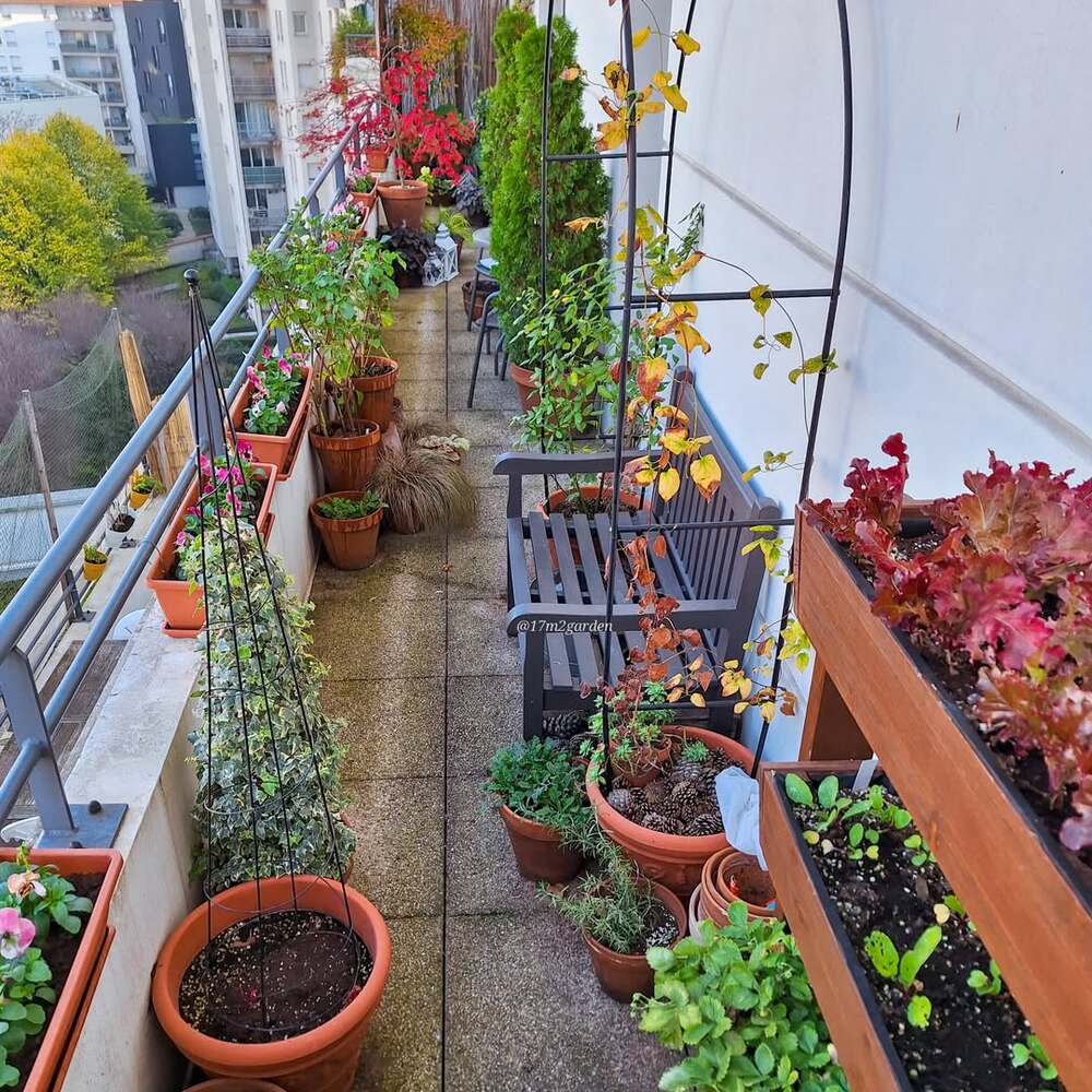 Terrace Gardening project 24