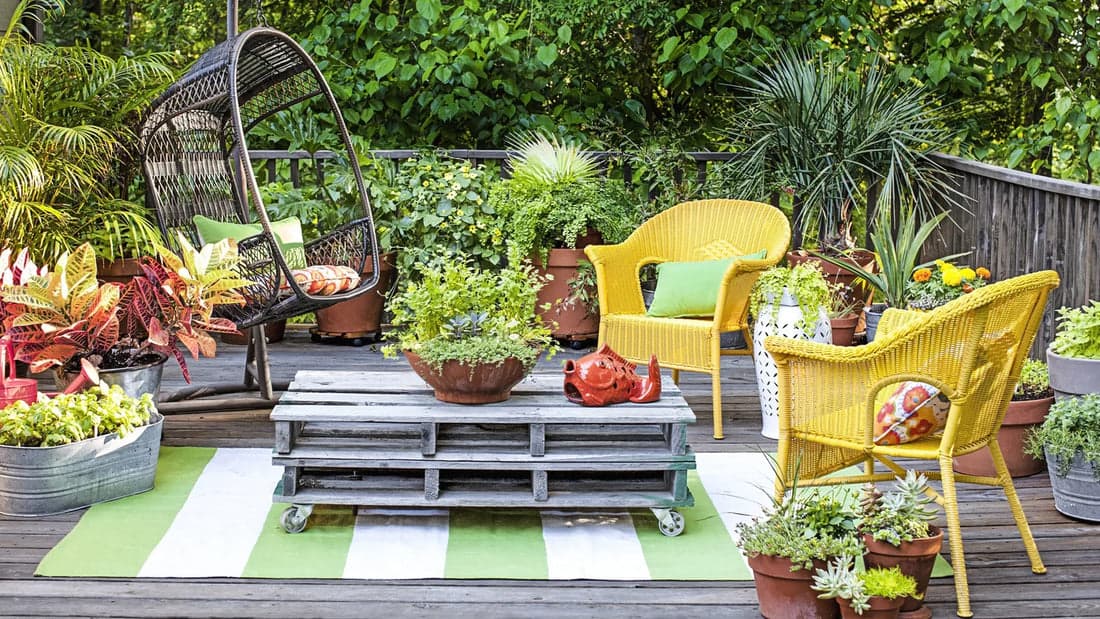 Terrace Gardening project 27