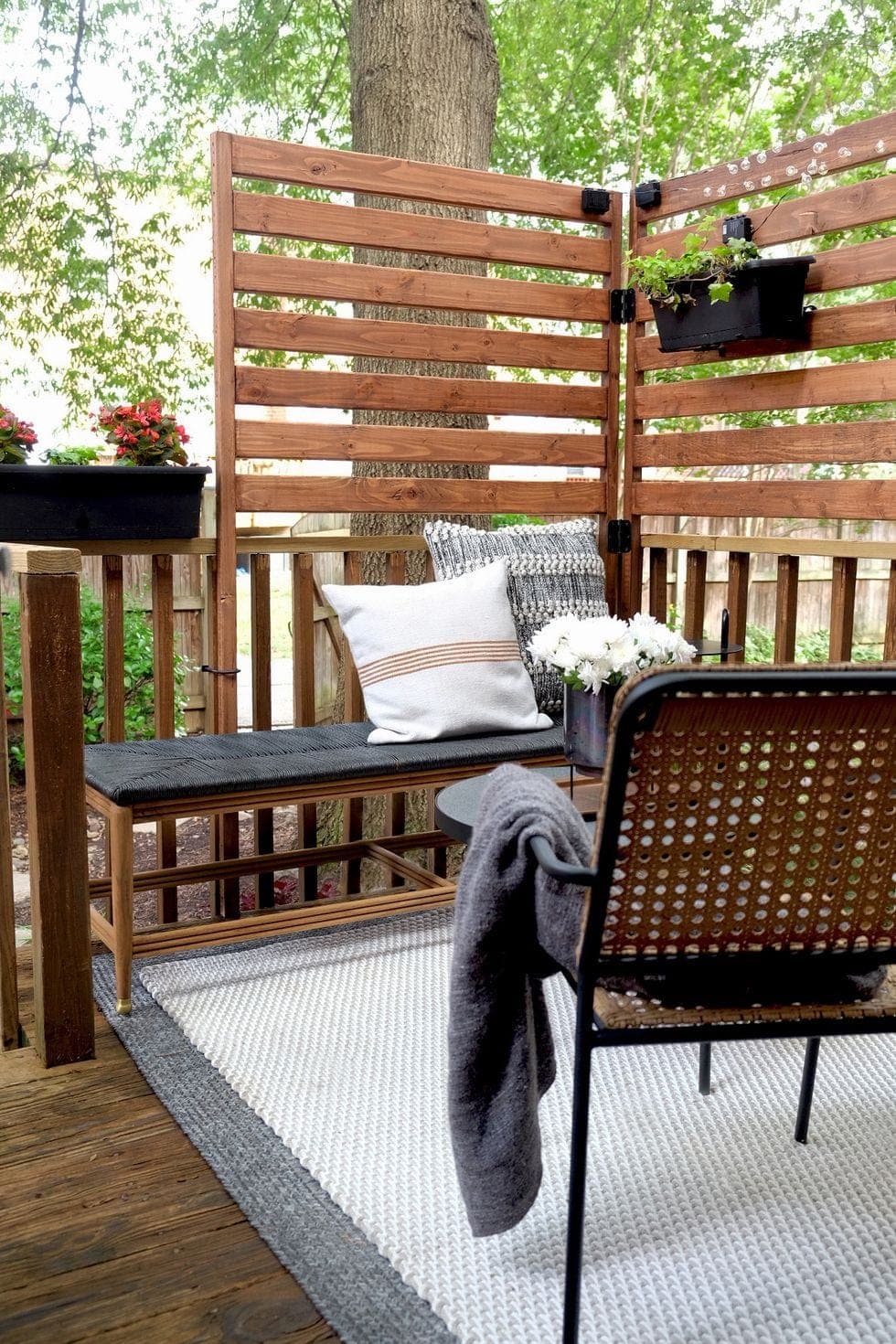 Terrace Gardening project 5