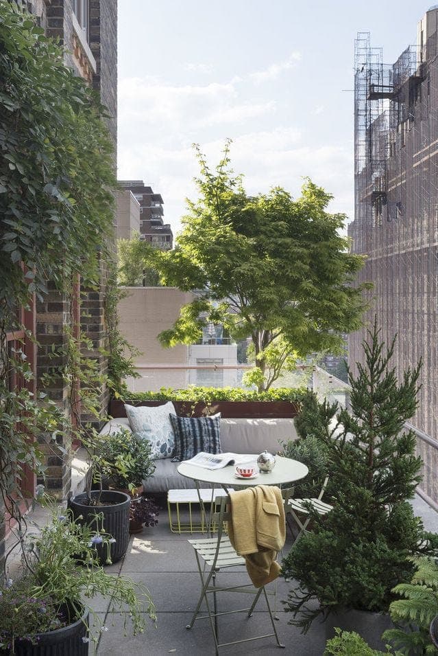 Terrace Gardening project 6