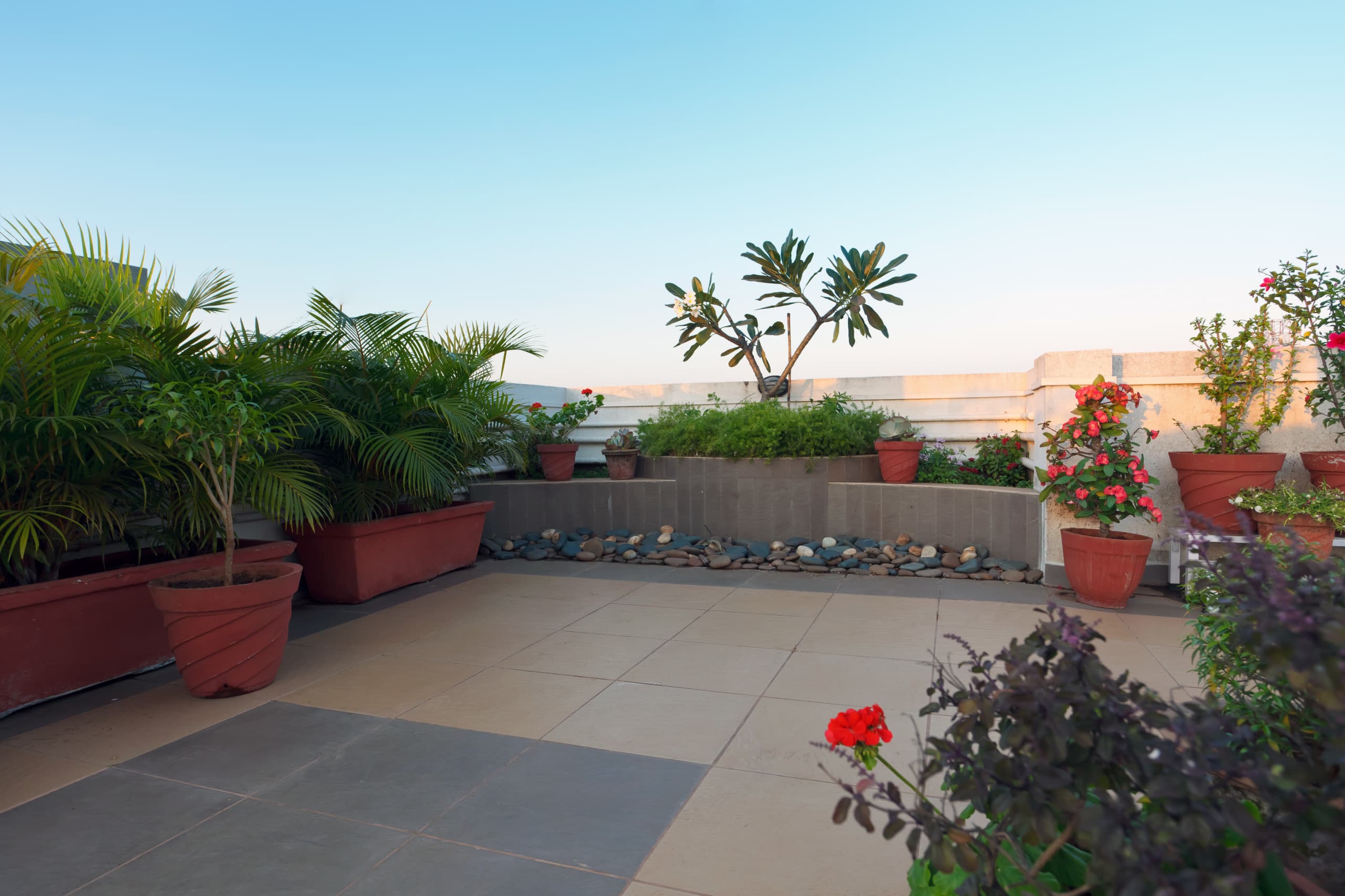 Terrace Gardening project 7