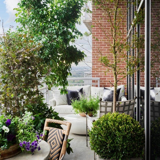 Terrace Gardening project 8