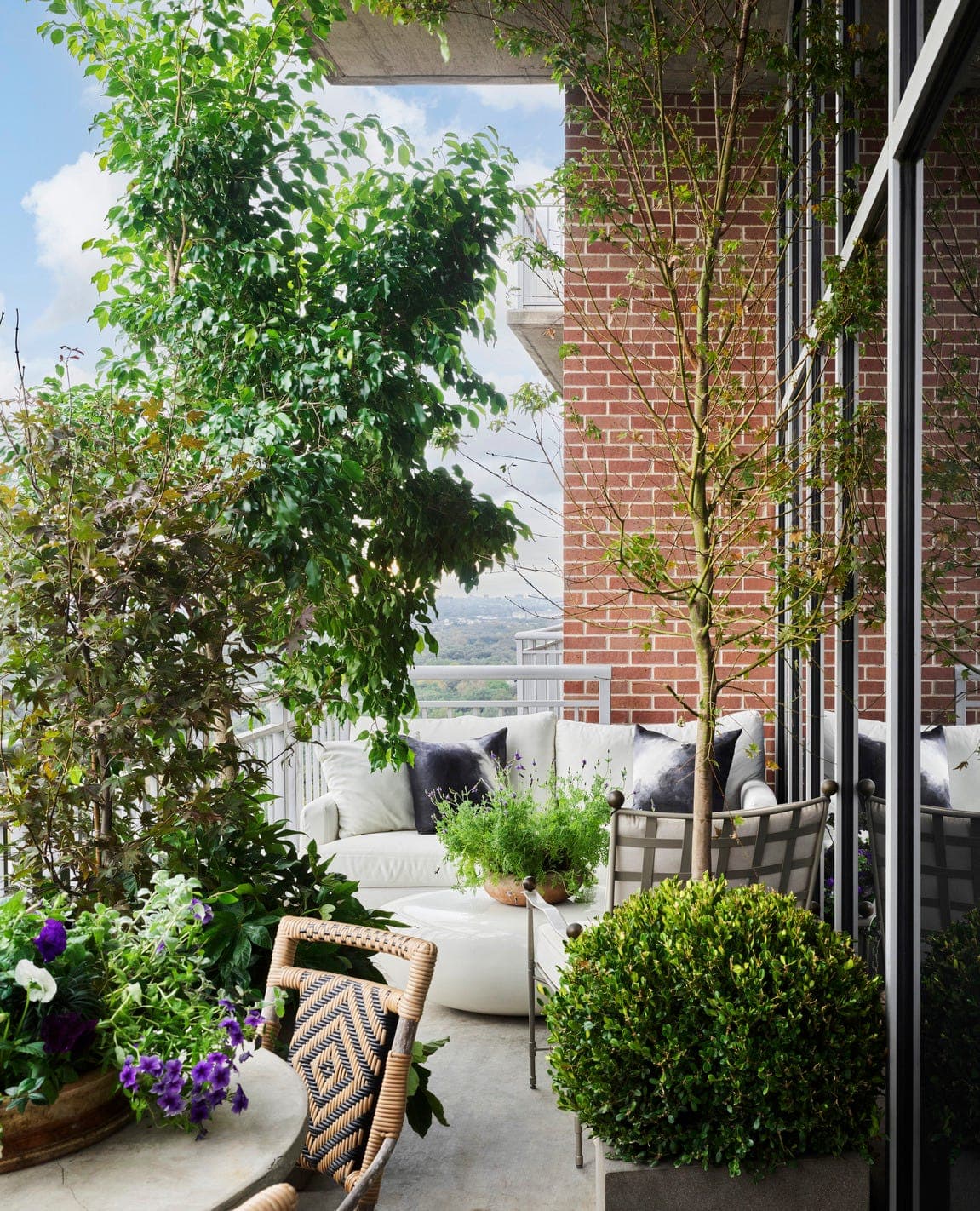 Terrace Gardening project 9
